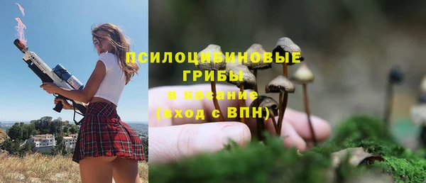 крисы Балабаново