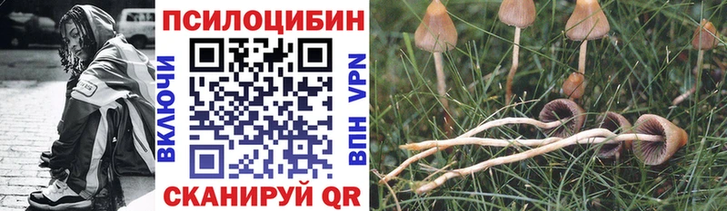 Галлюциногенные грибы Magic Shrooms  Купить закладки  Борзя 